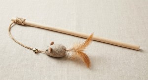 Cat toy.stick
